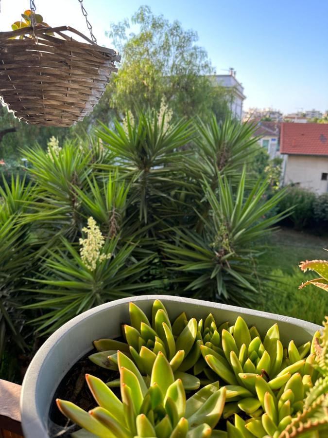 Location De Chambre Privee Dans Residence Prive, Jardins Et Parking Gratuit 1 Min To Tramway Et 9 Min De Centre-Ville, Accessibilite A Plusieurs Transports Nizza Kültér fotó